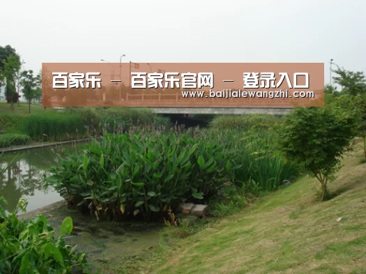 案例展示四(图1)