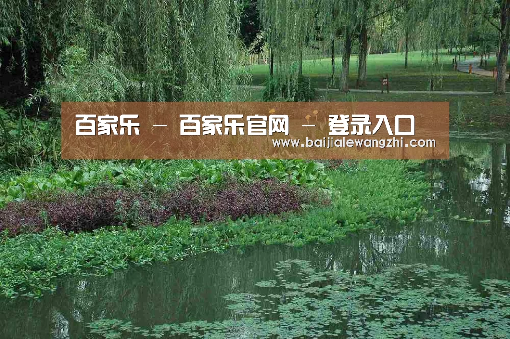 案例展示一(图1)