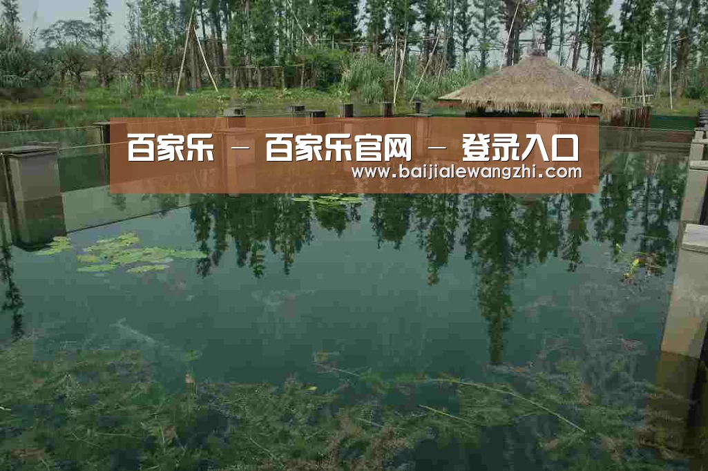 案例展示二(图1)