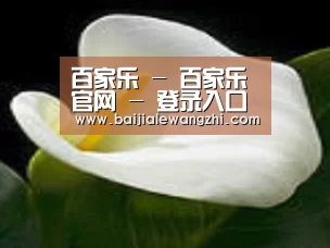 产品名称七