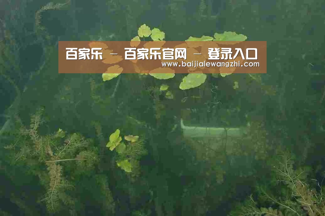案例展示三