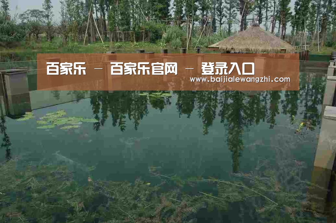 案例展示二