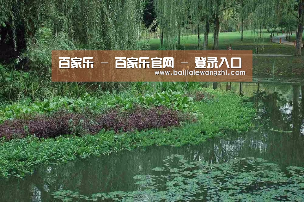 案例展示一
