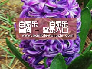 产品名称八