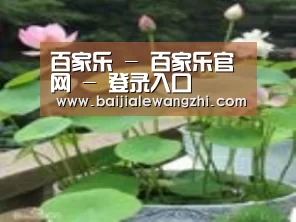 产品名称一