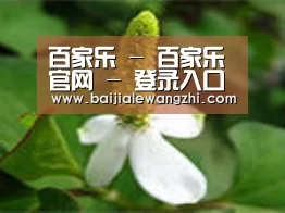 产品名称三