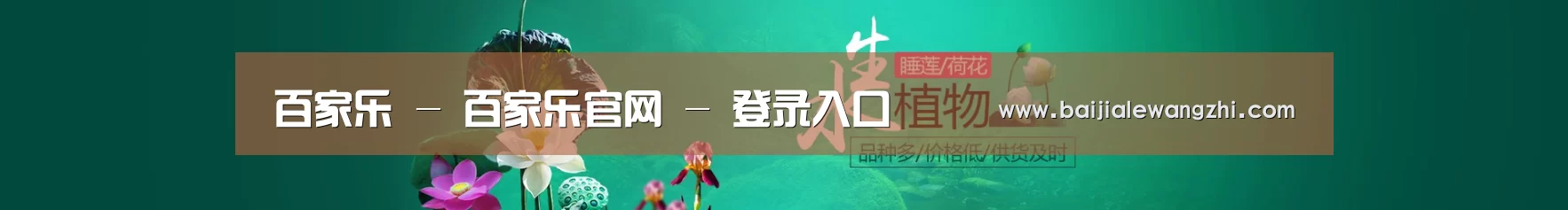 鲜花水草花卉网站模板