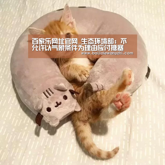 百家乐网址官网_生态环境部:不允许以气象条件为理由应付搪塞(图2) 百家乐网址官网