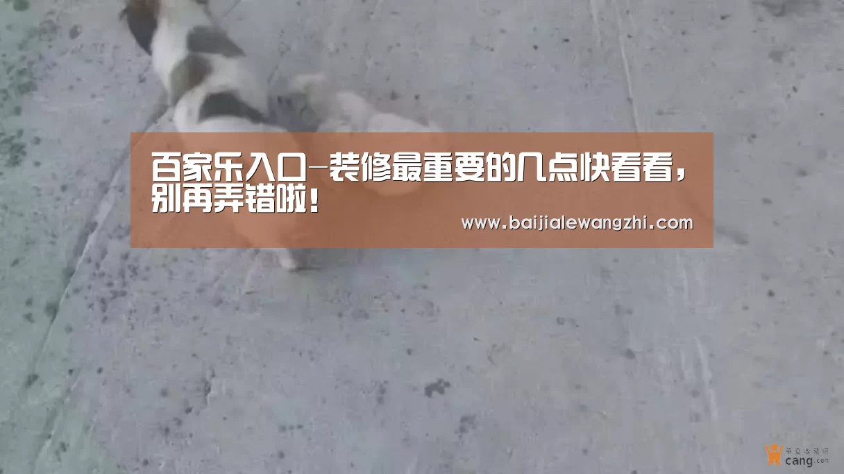 百家乐入口