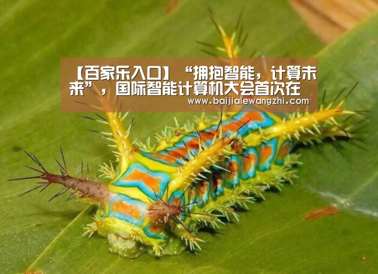 百家乐网址