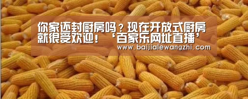 百家乐入口