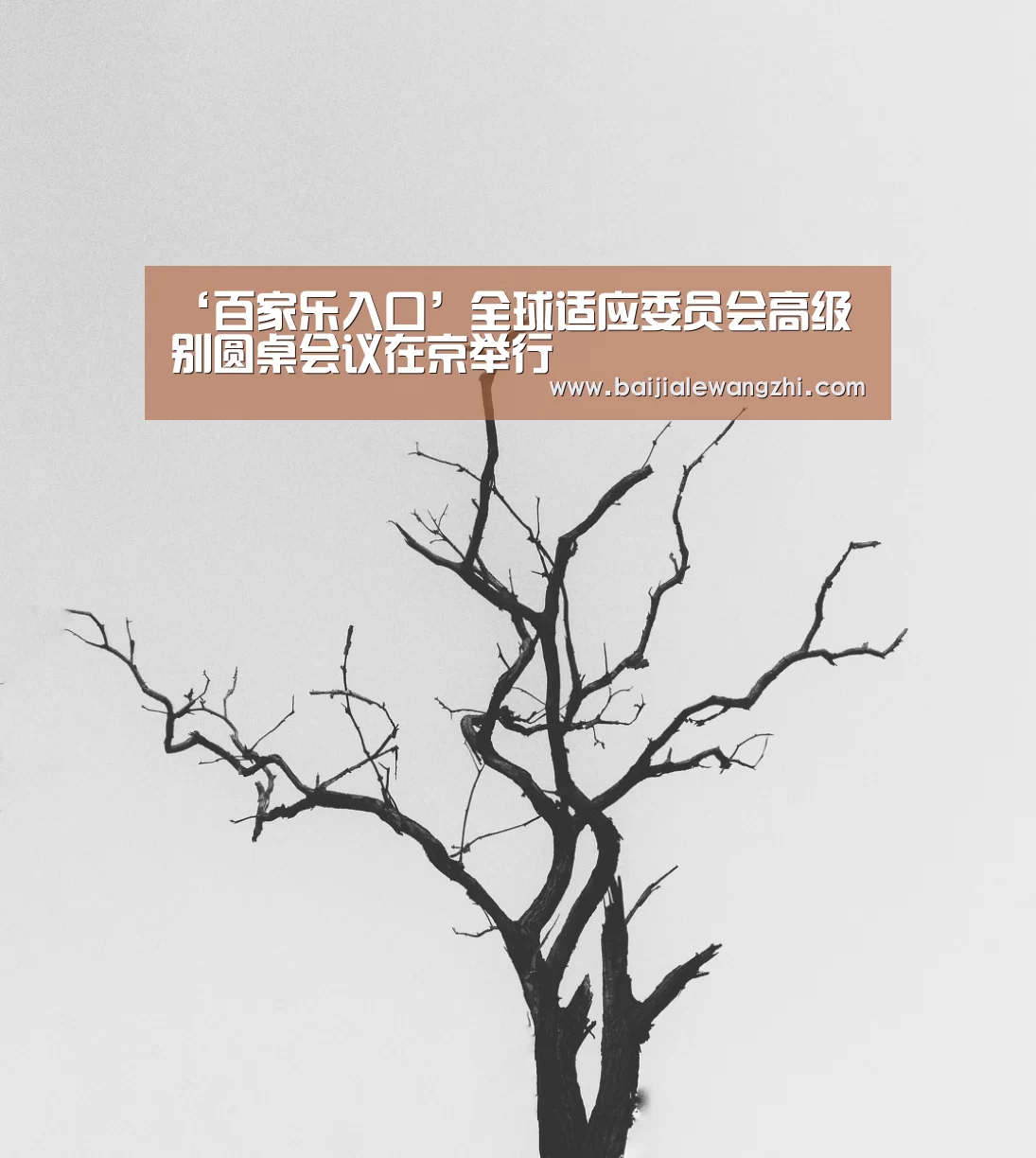 ‘百家乐入口’全球适应委员会高级别圆桌会议在京举行(图2) 百家乐网址官网