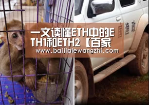 一文读懂ETH中的ETH1和ETH2【百家乐网址】(图1) 百家乐网址官网